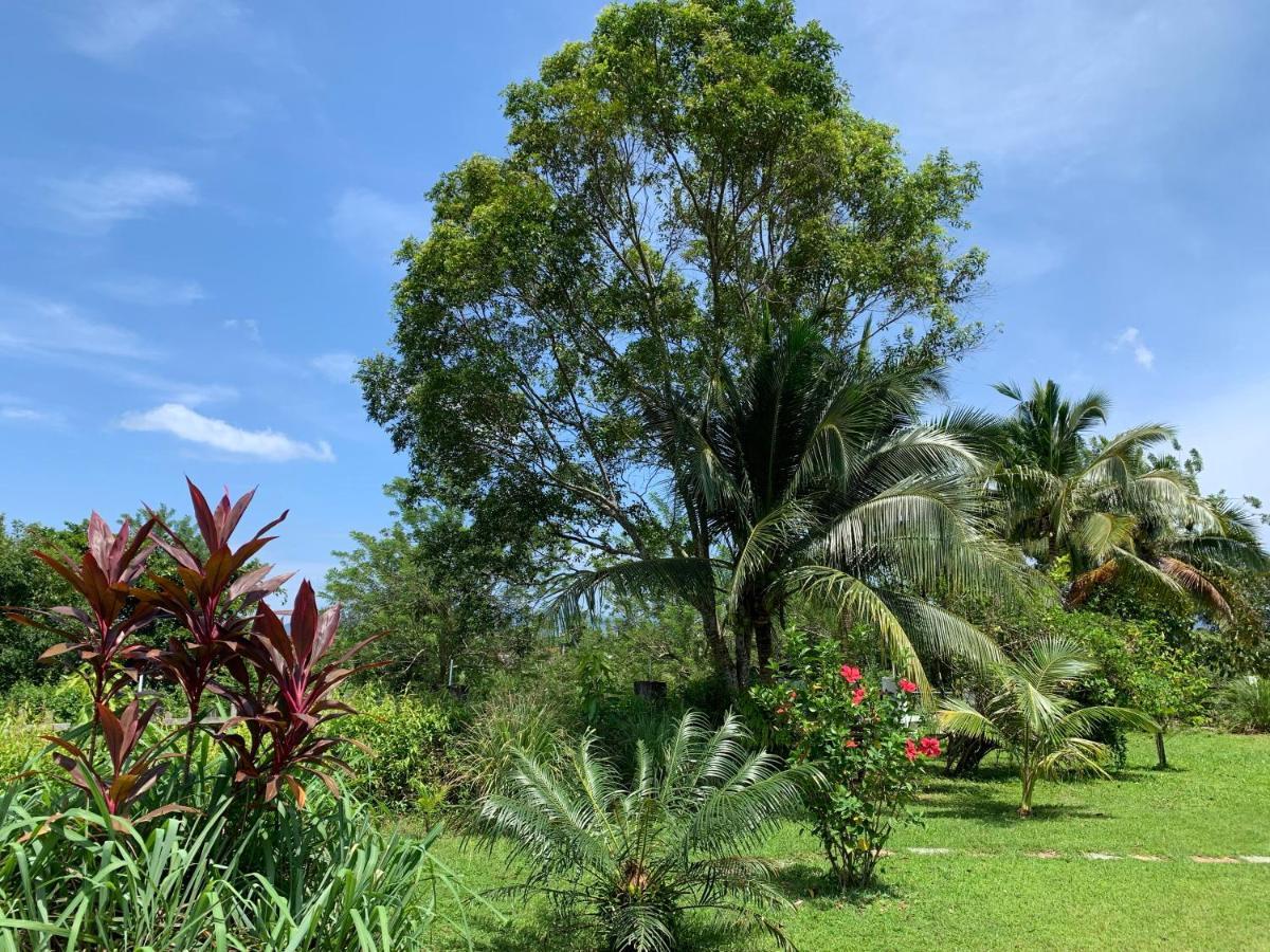 Lovely Garden Villas Pantai Cenang  Eksteriør bilde