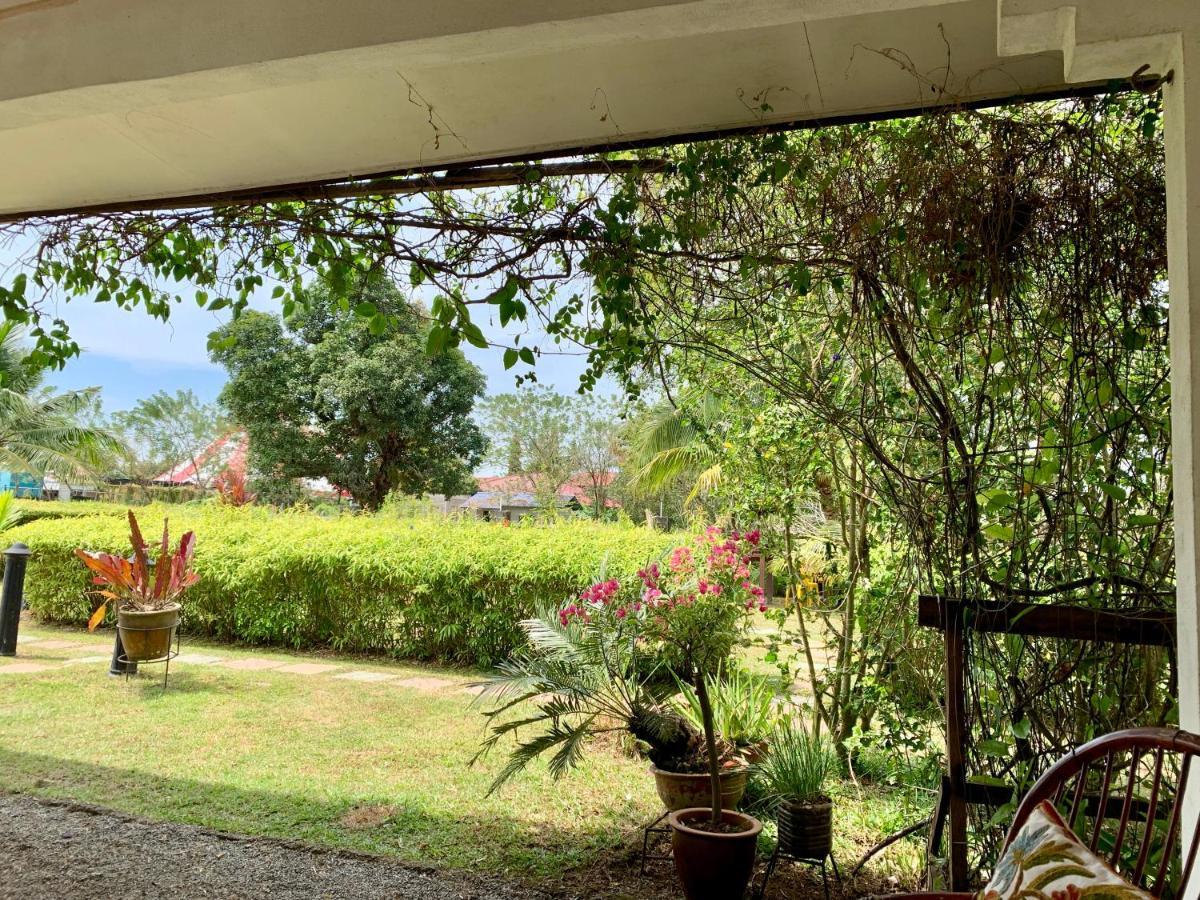 Lovely Garden Villas Pantai Cenang  Eksteriør bilde