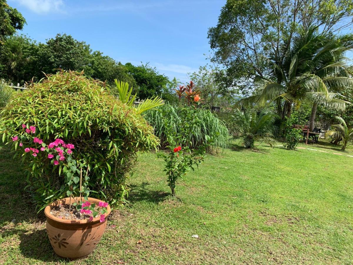 Lovely Garden Villas Pantai Cenang  Eksteriør bilde