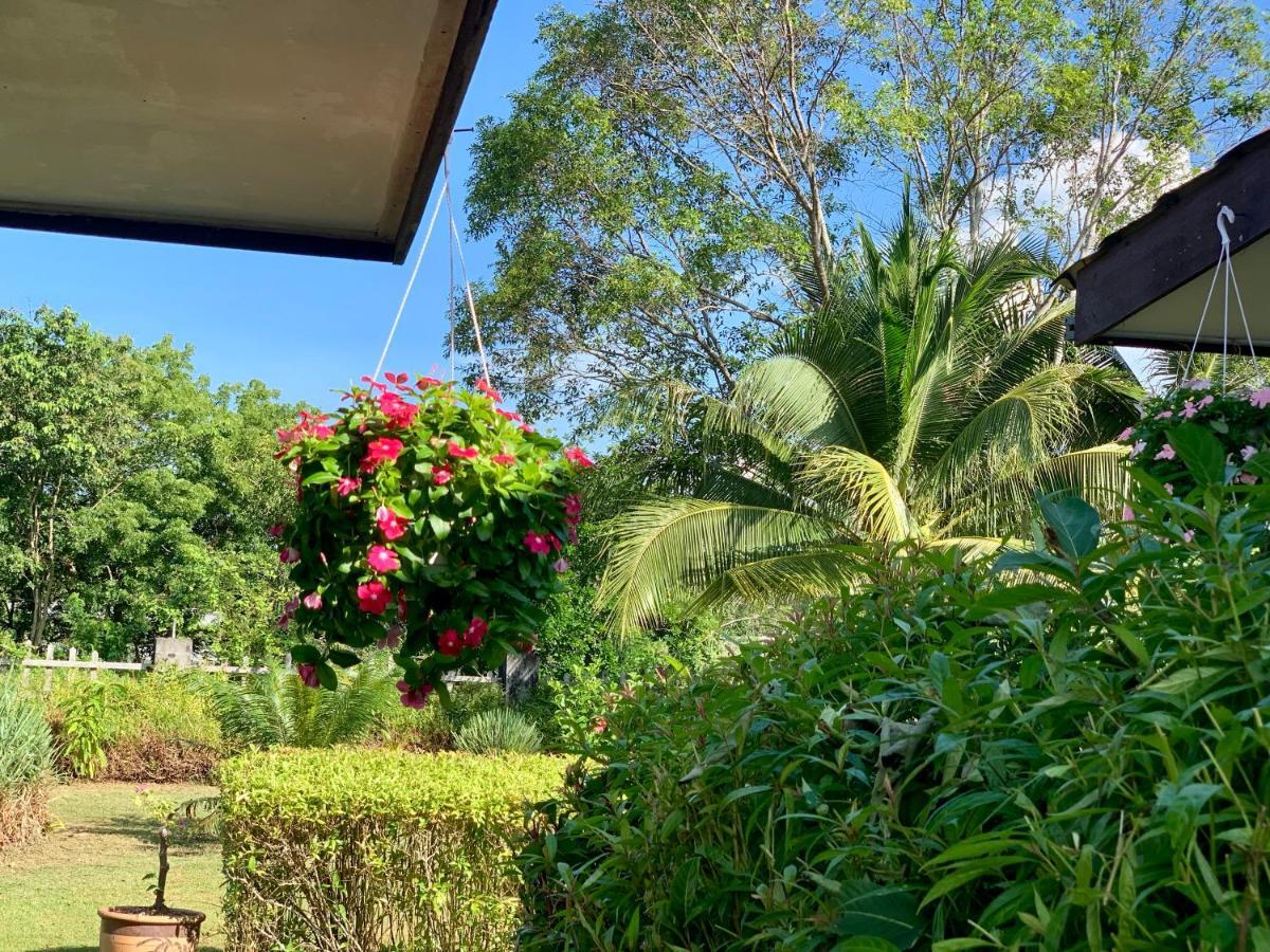 Lovely Garden Villas Pantai Cenang  Eksteriør bilde