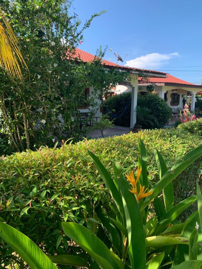 Lovely Garden Villas Pantai Cenang  Eksteriør bilde